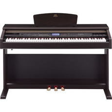 YDP-V240